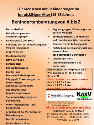 Flyer zur kostenlosen Beratung für Menschen mit Behinderung und deren Angehörige. Aufgelistet sind Themen von A bis Z.